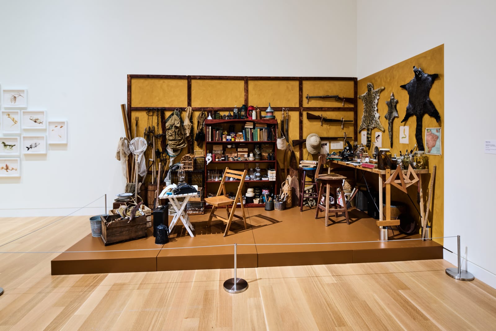 Installation view at Palmer Museum of Art, Penn State, University Park, PA, 2025. Photo by Steve Tressler.