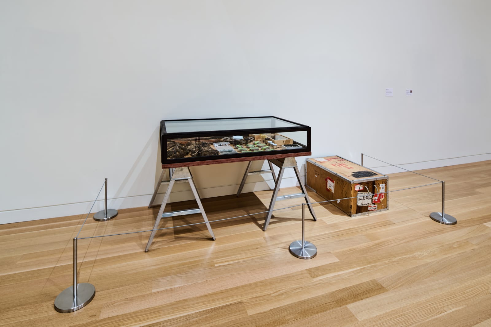 Installation view at Palmer Museum of Art, Penn State, University Park, PA, 2025. Photo by Steve Tressler.