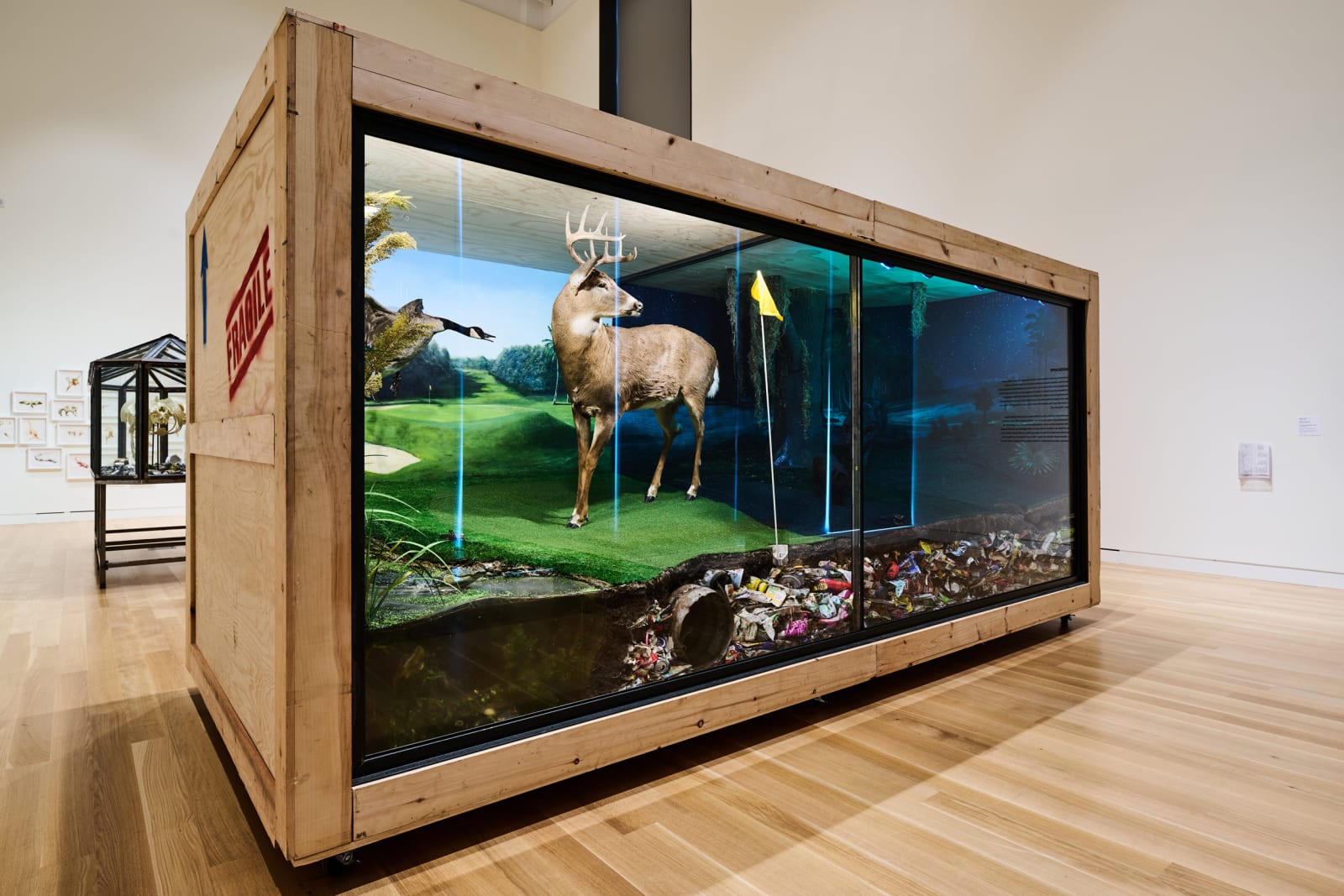 Installation view at Palmer Museum of Art, Penn State, University Park, PA, 2025. Photo by Steve Tressler.