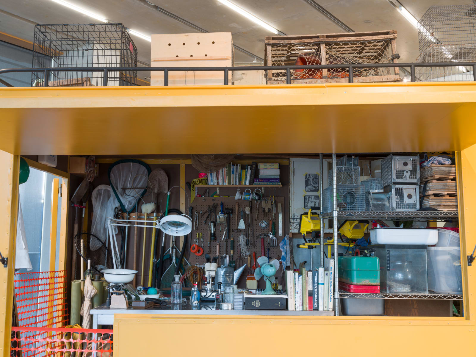 Installation view, Mark Dion: The South Florida Wildlife Rescue Unit, Pérez Art Museum Miami, 2025–26. Photo by Oriol Tarridas