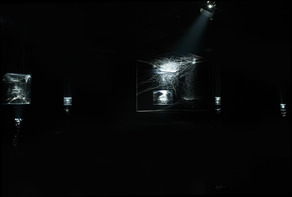 Saraceno spider box installation in dark