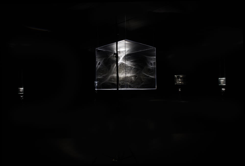 Saraceno spider box installation in dark