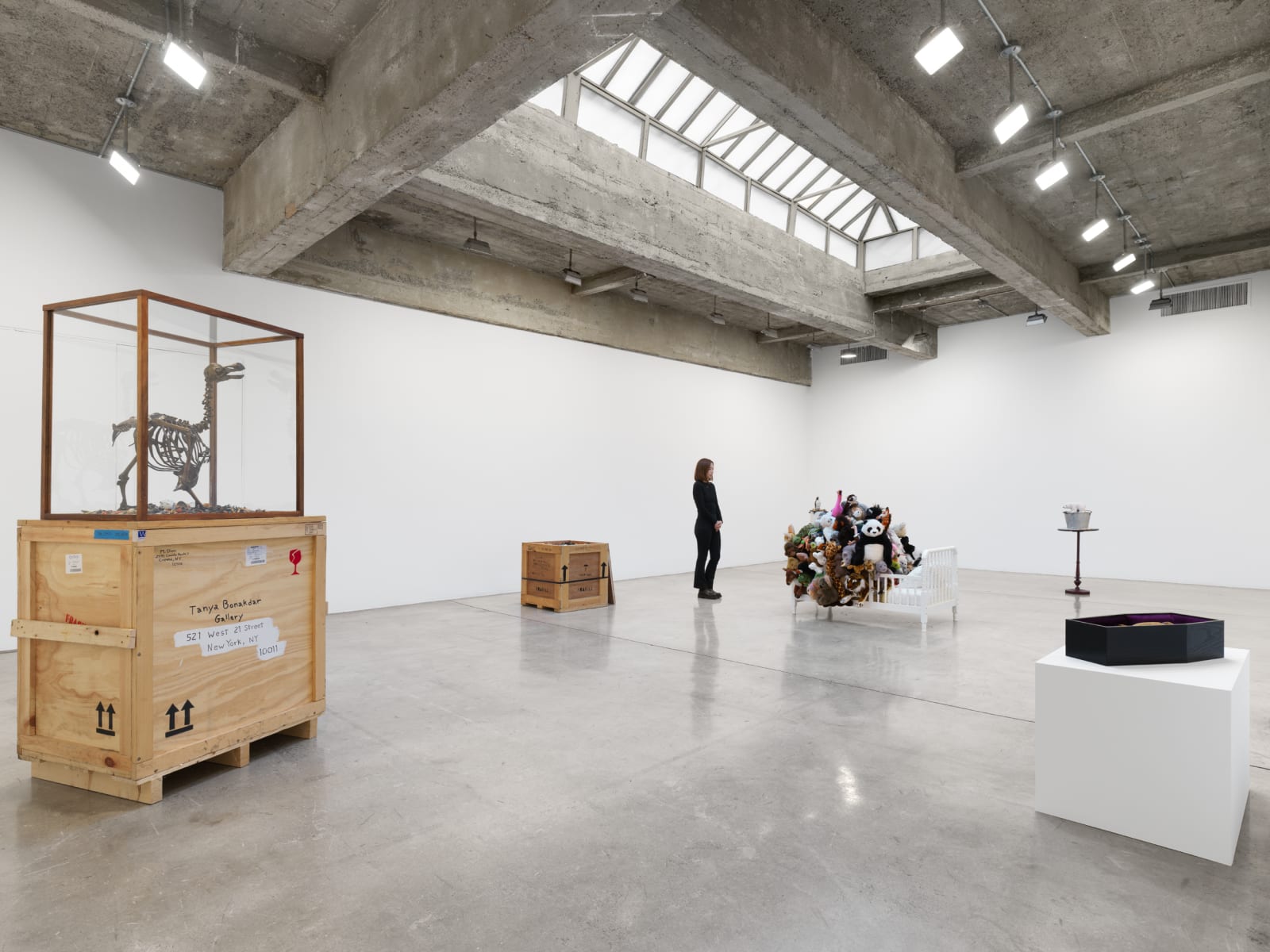 Mark Dion Installation image at TBG 2026.