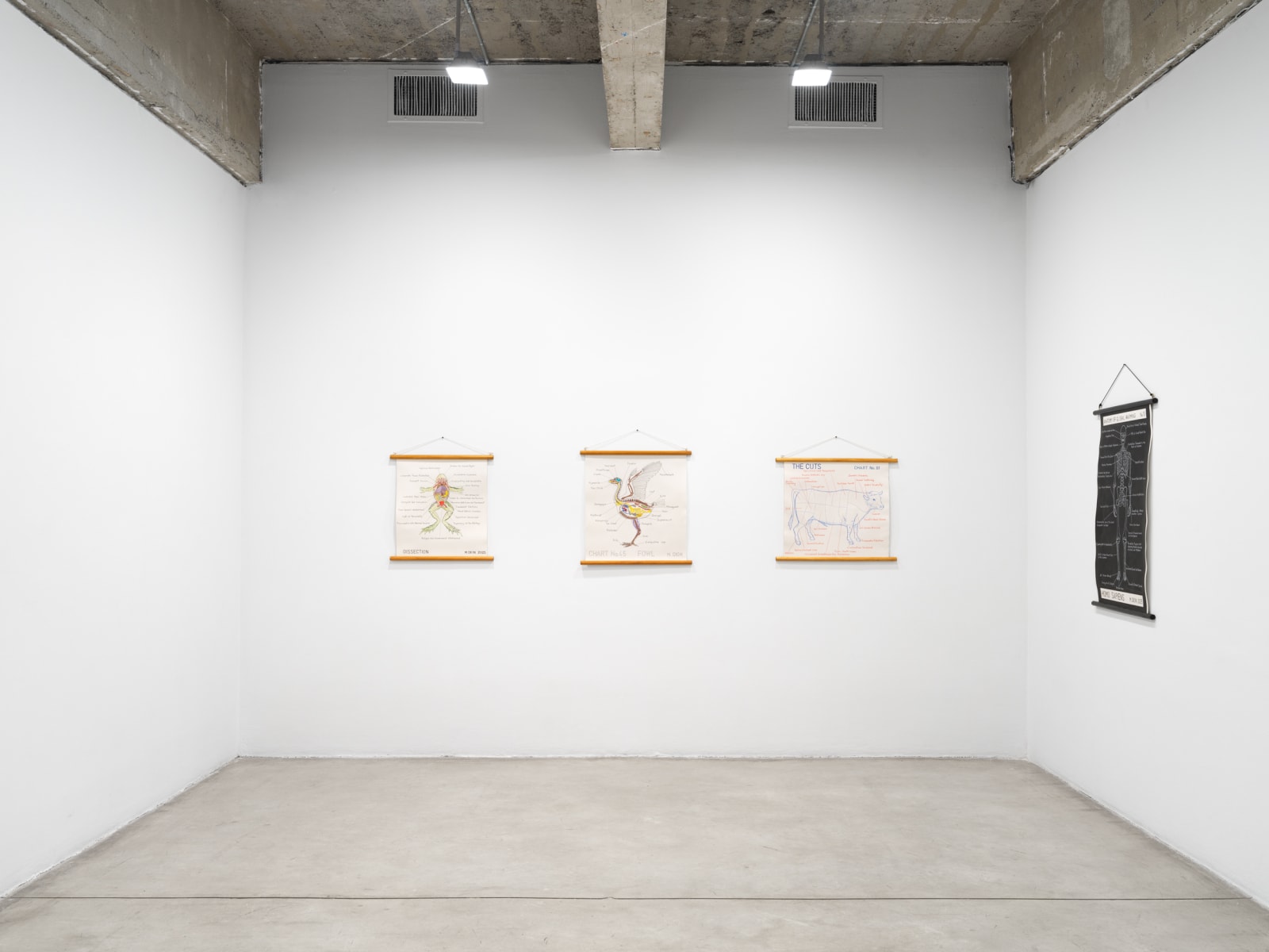 Mark Dion Installation image at TBG 2026.