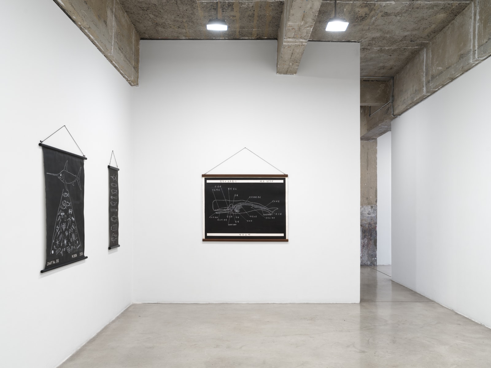 Mark Dion Installation image at TBG 2026.