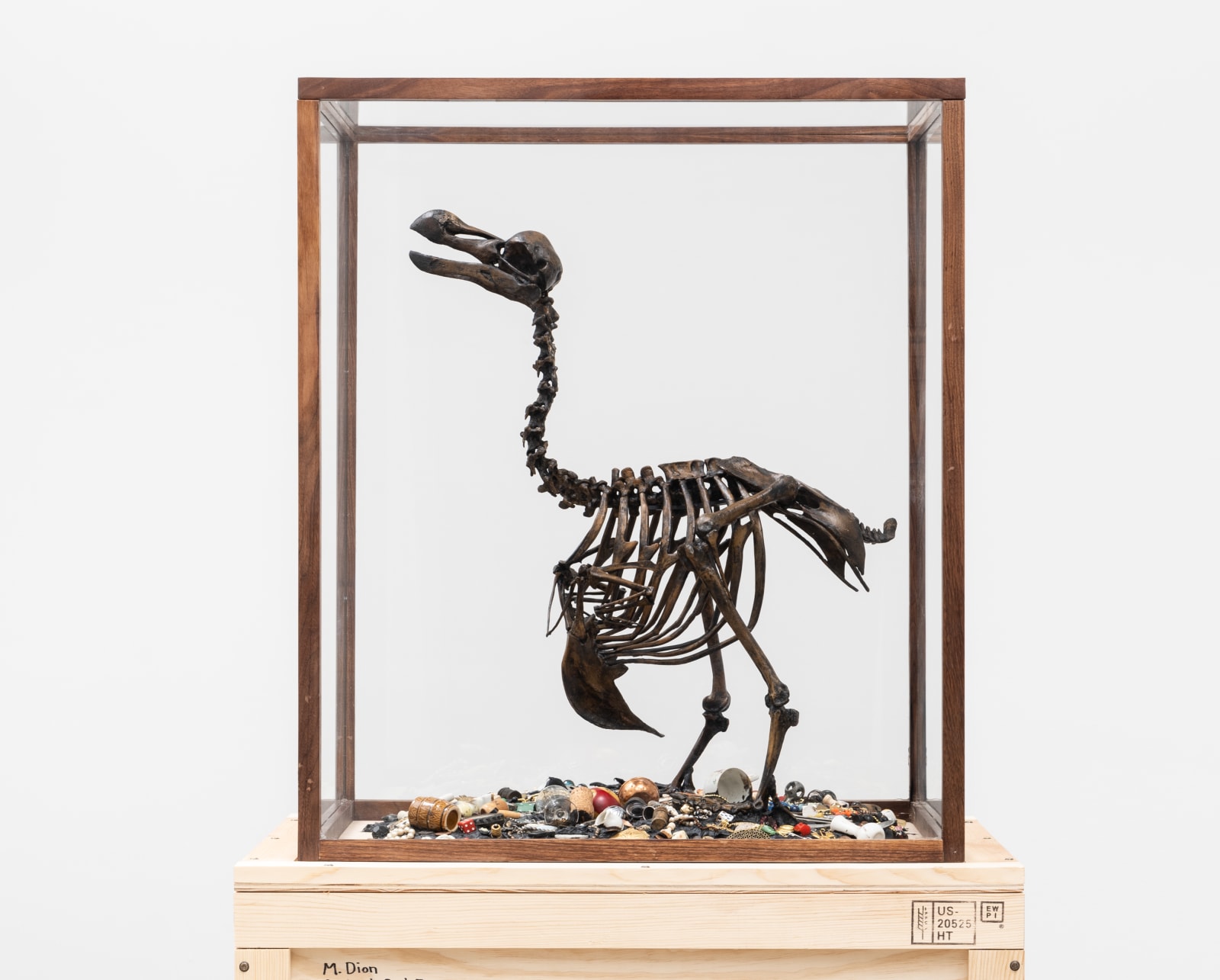 Image of The Anatomy of Melancholy - Dodo.