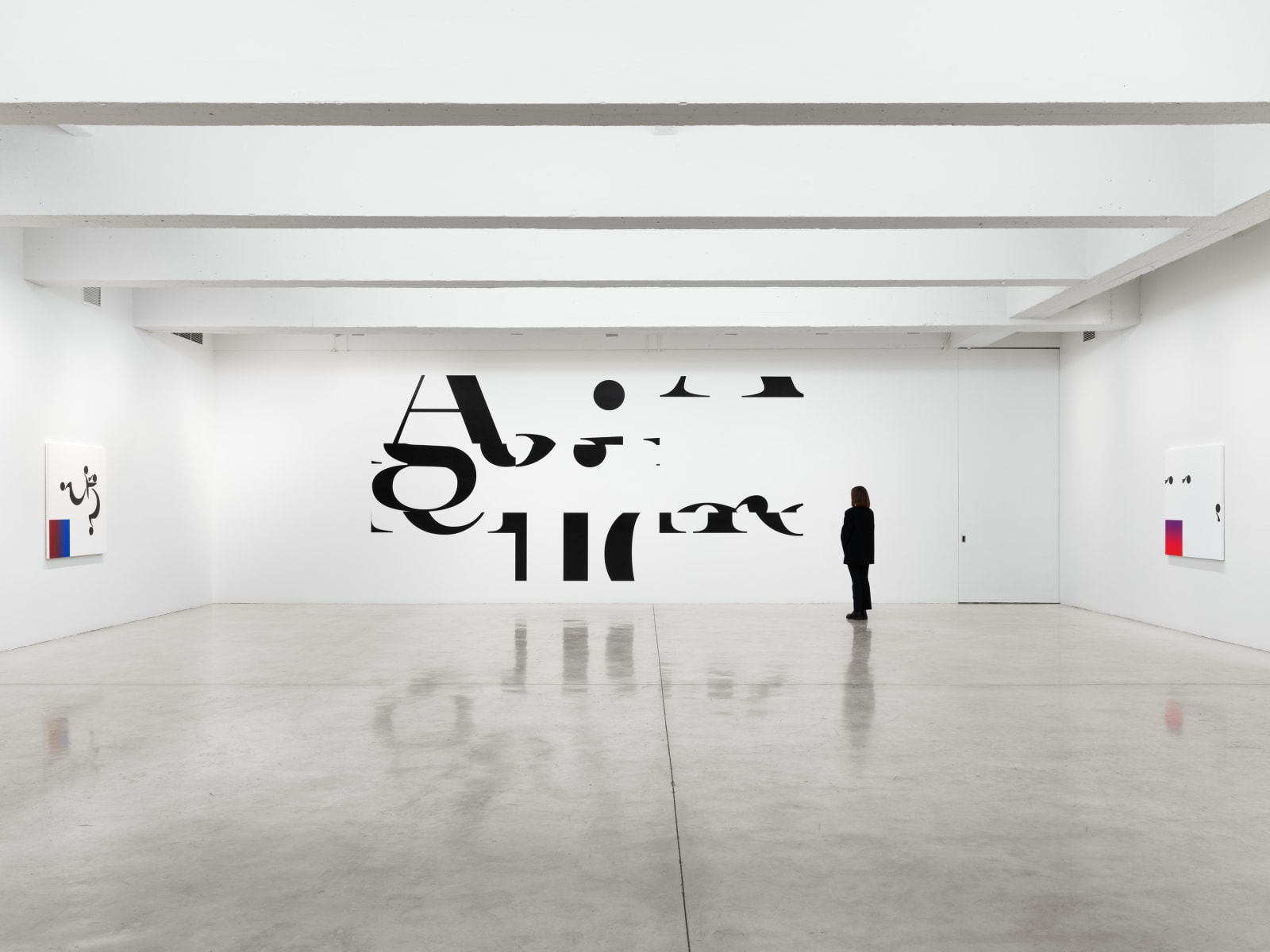 Haim Steinbach installation image at TBG 2026.