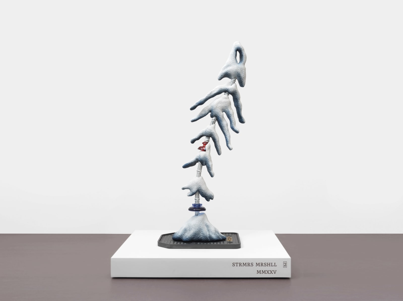 Magali Reus's sculpture image.