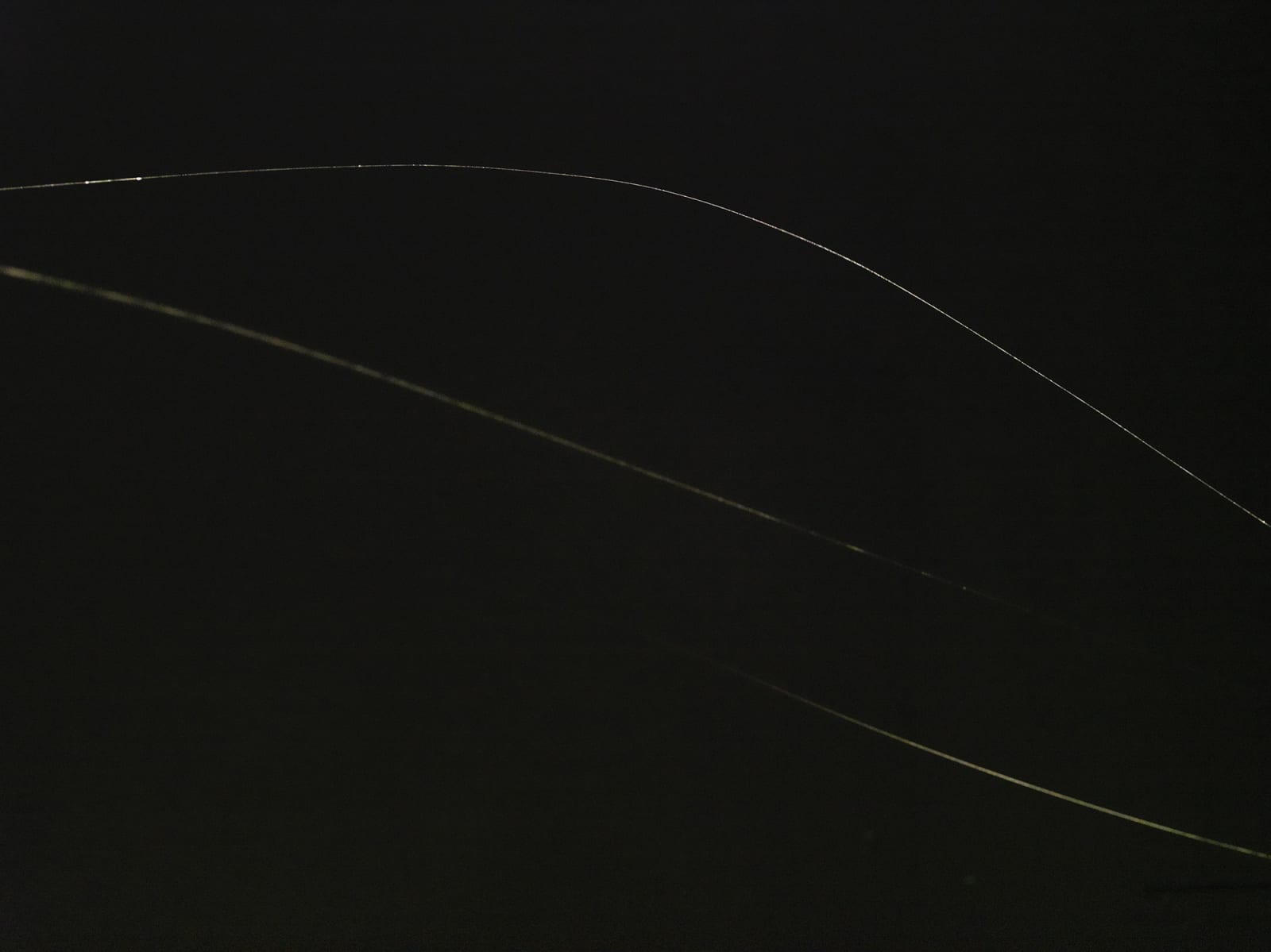 Saraceno 3 spider web threads in the dark