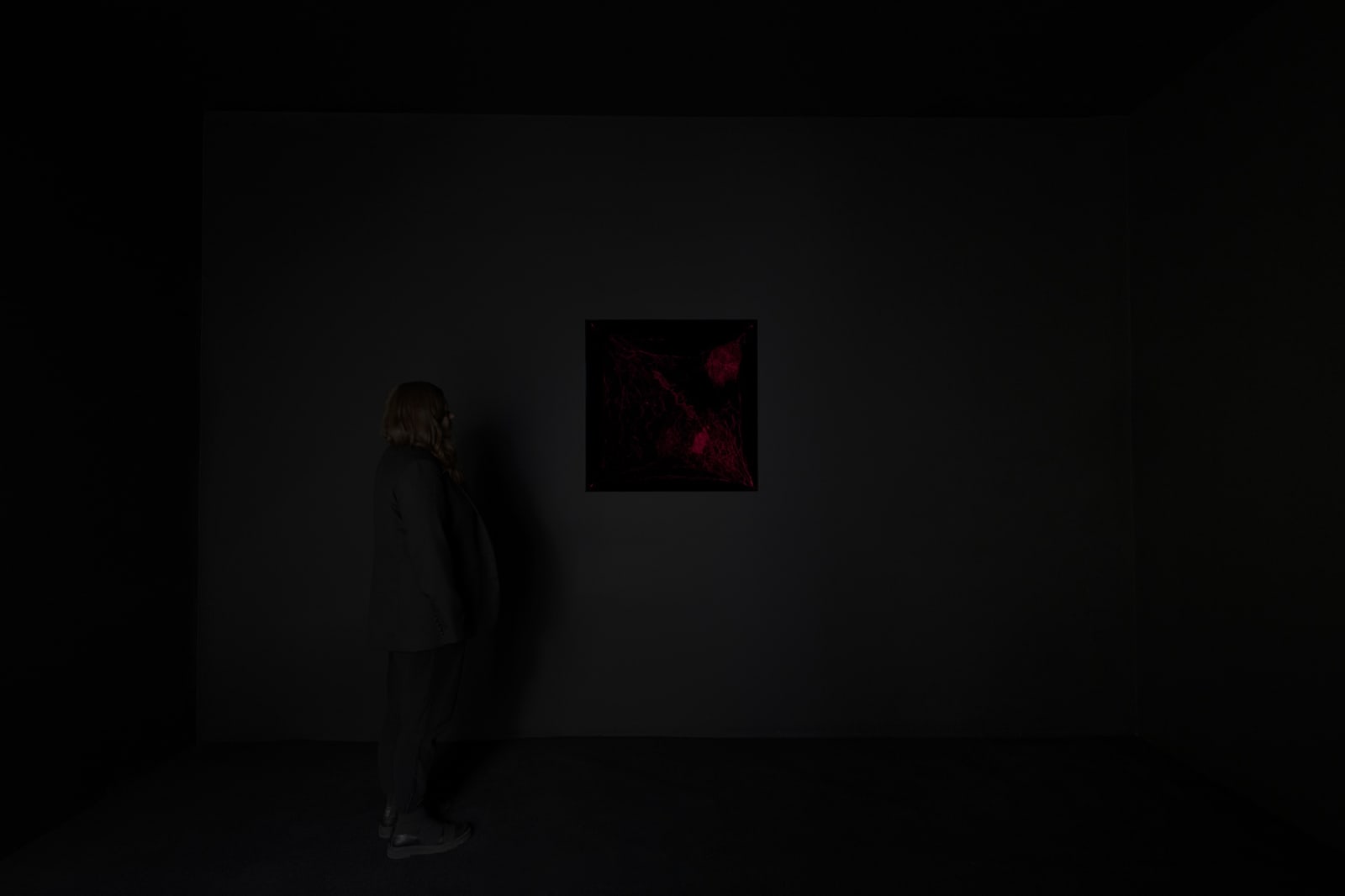 Saraceno laser spider web