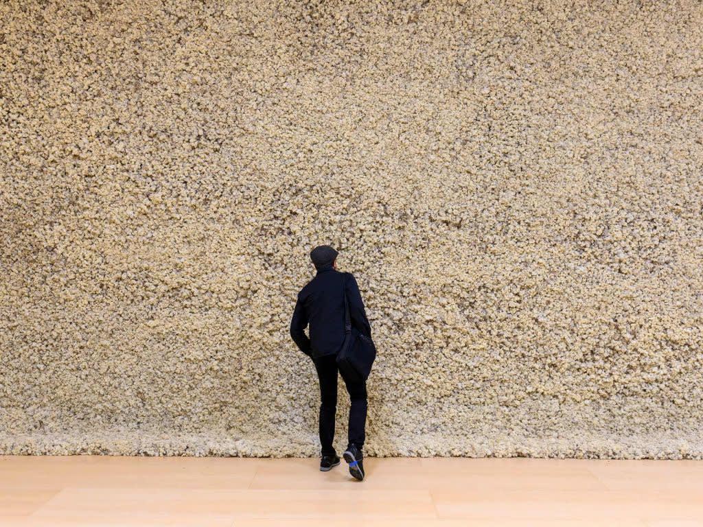 image of eliasson, moss wall