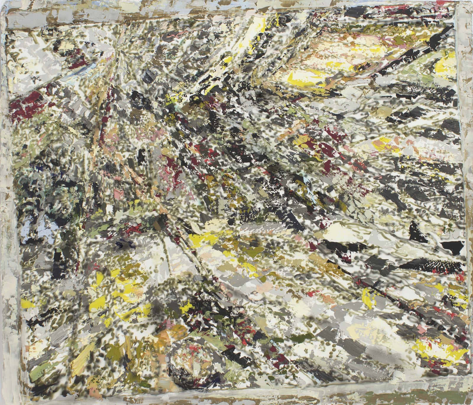 Matthew Kolodziej, Archer, 2019