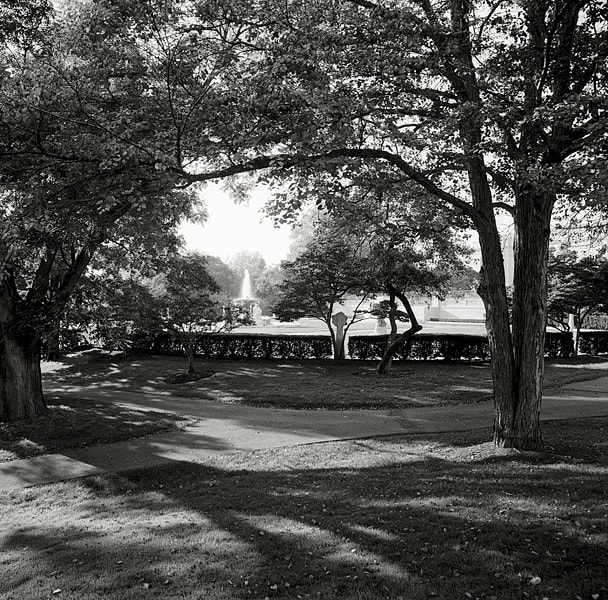 Garie Waltzer, Fine Art Garden #7