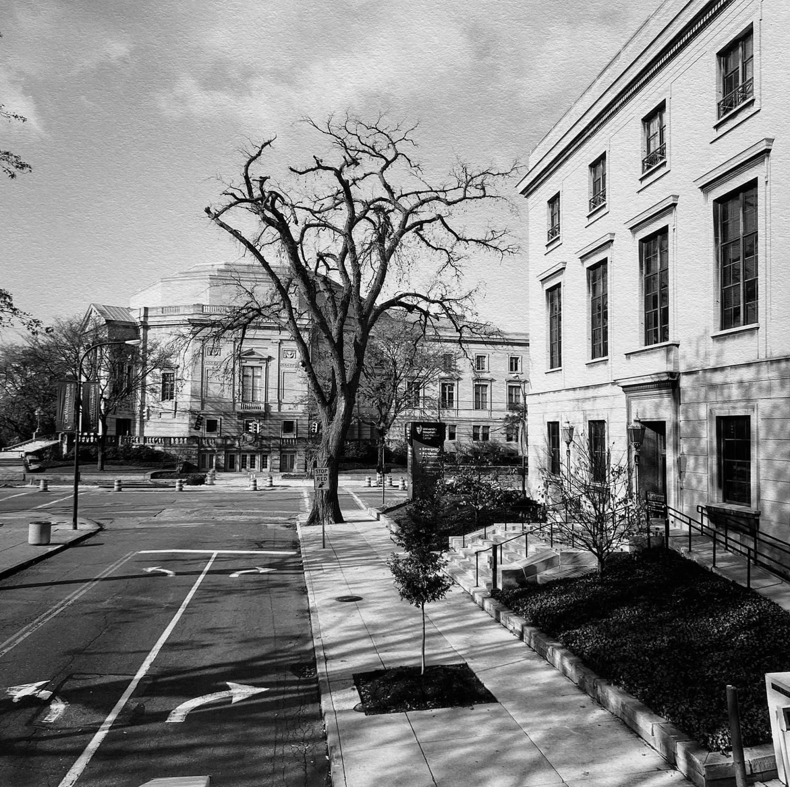 Garie Waltzer, Severance Hall from Adelbert Road