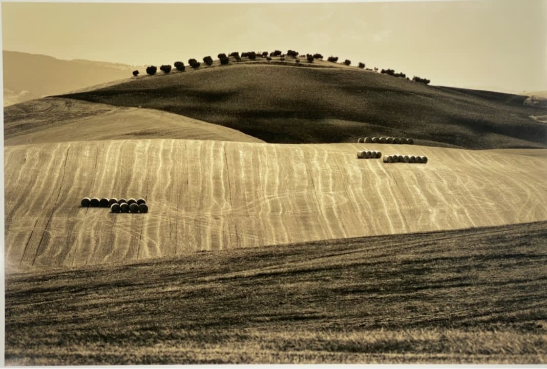 Paul Elledge, 93. Arte Nella Tella