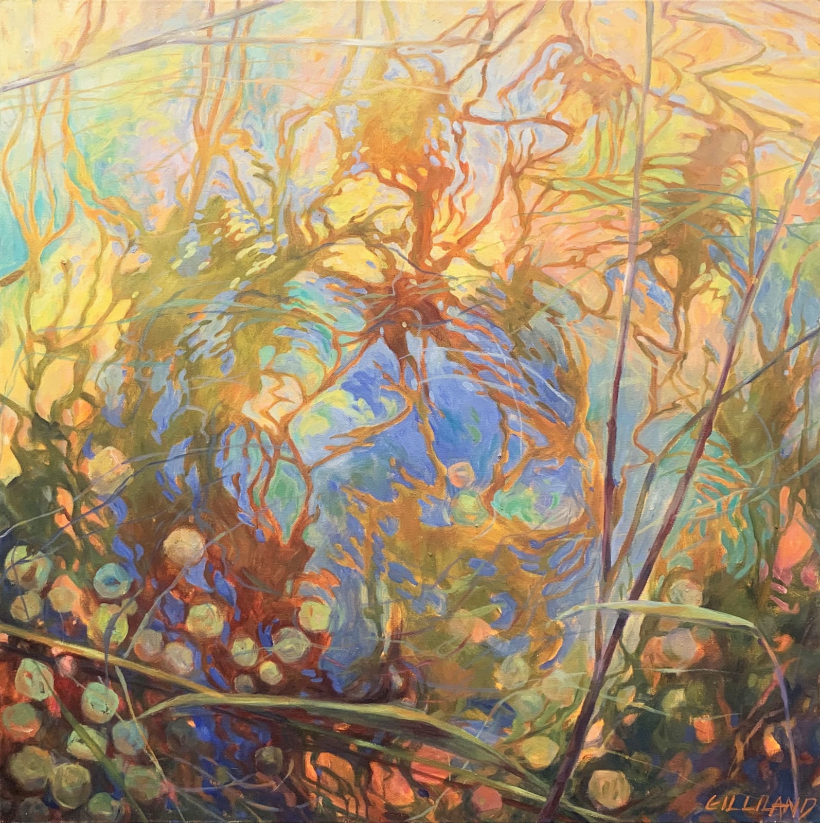 Pamela Gilliland, Water Reflection 11