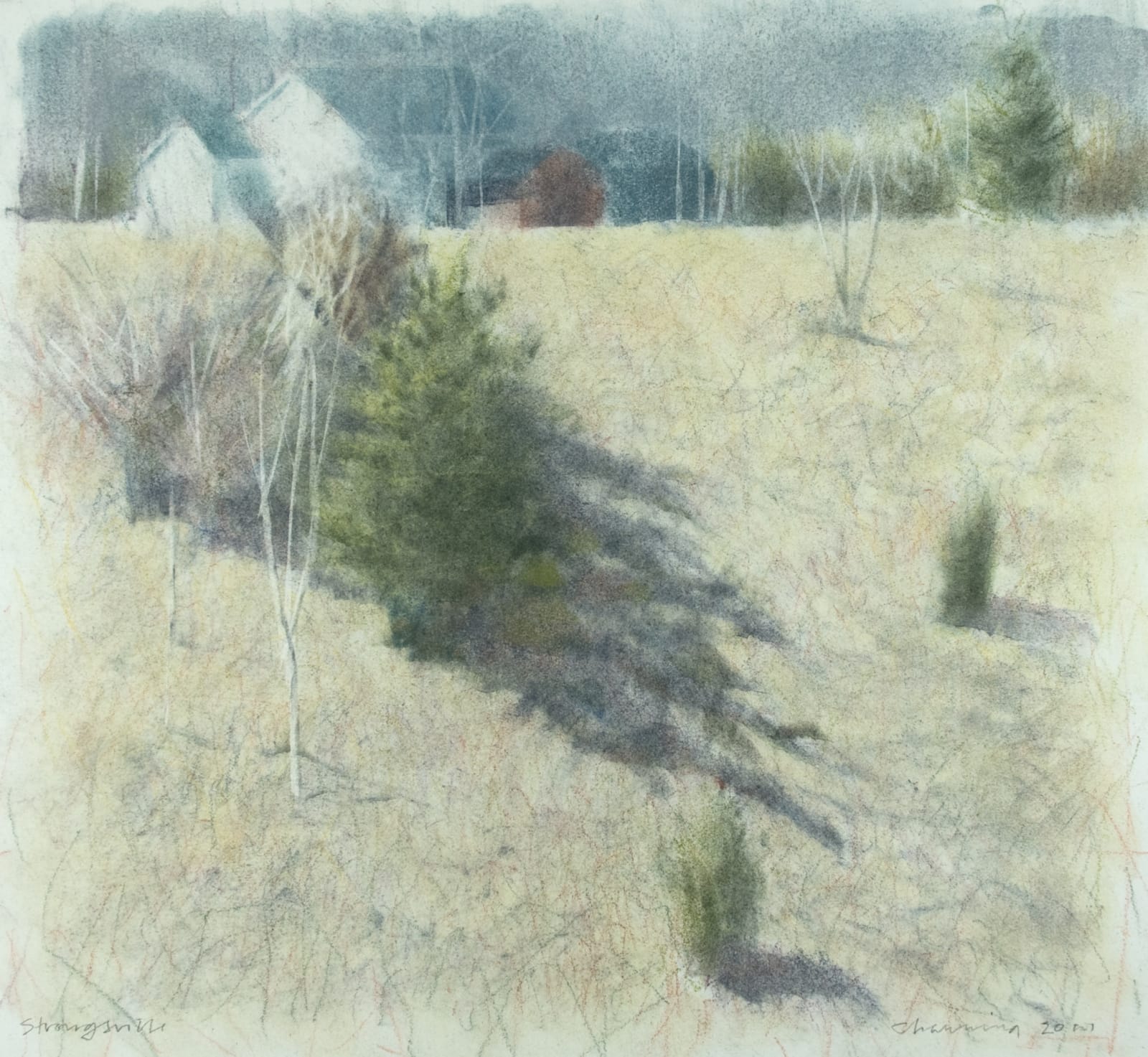 Laurence Channing, Strongsville, 2011