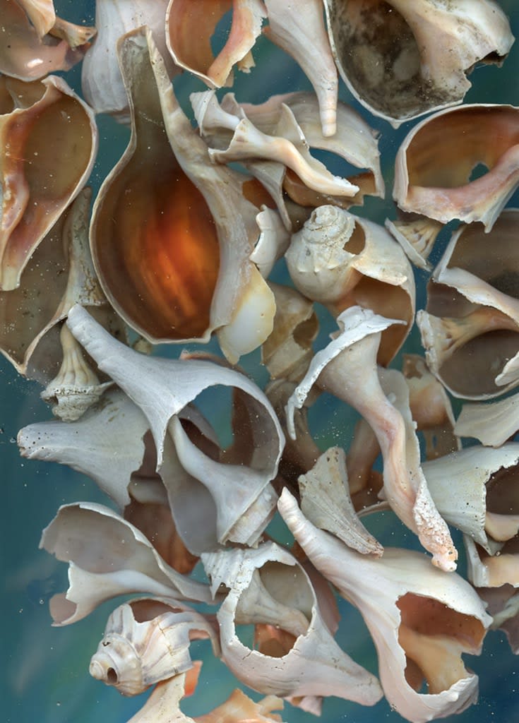 Ron Barron, Untitled #3 (Adrift Series), 2019