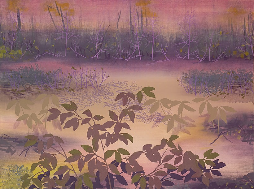 Susan Danko, Undergrowth and Shadow, 2024