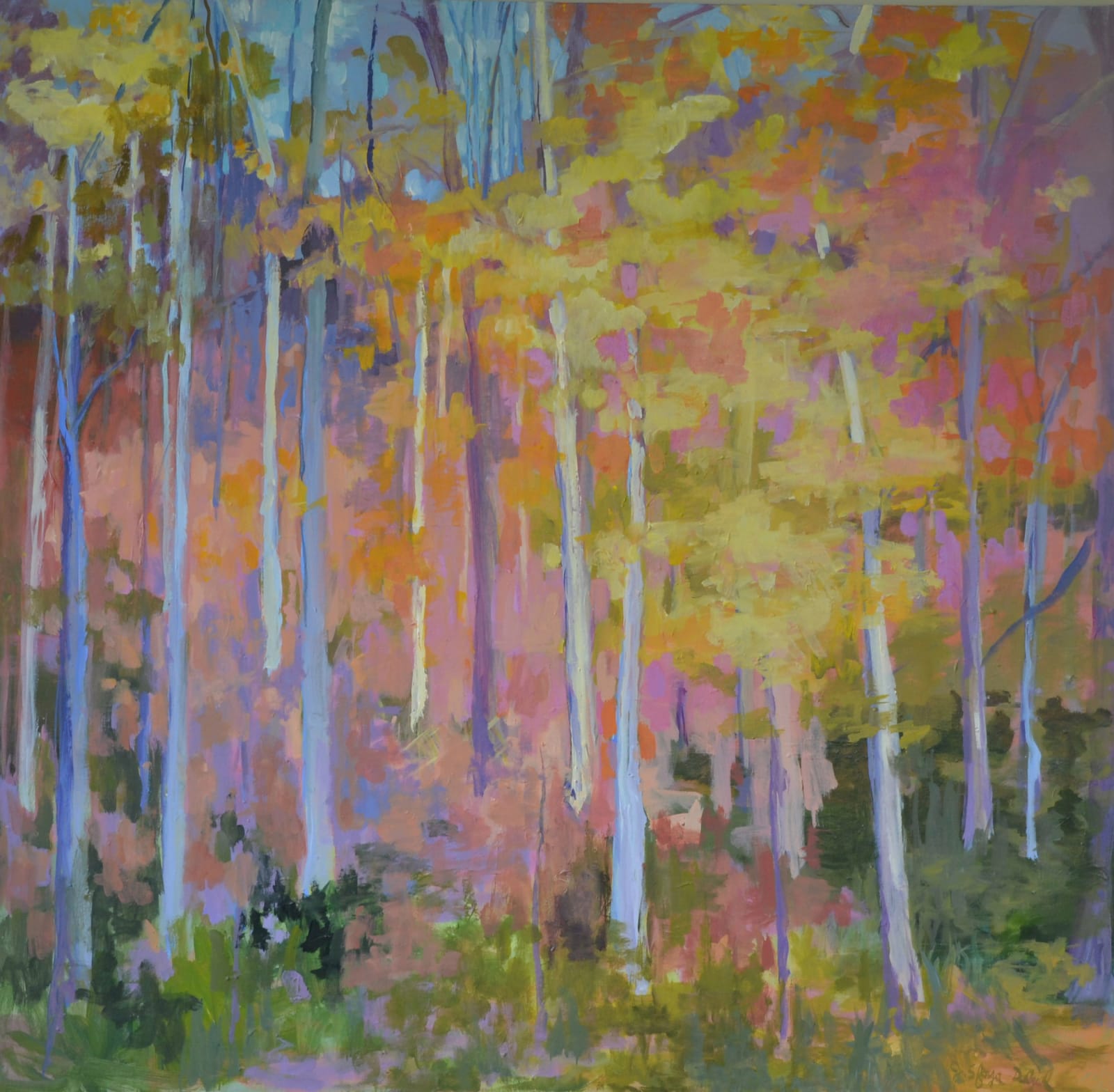 Jean Sforza Dalziel, Along the Emerald Necklace