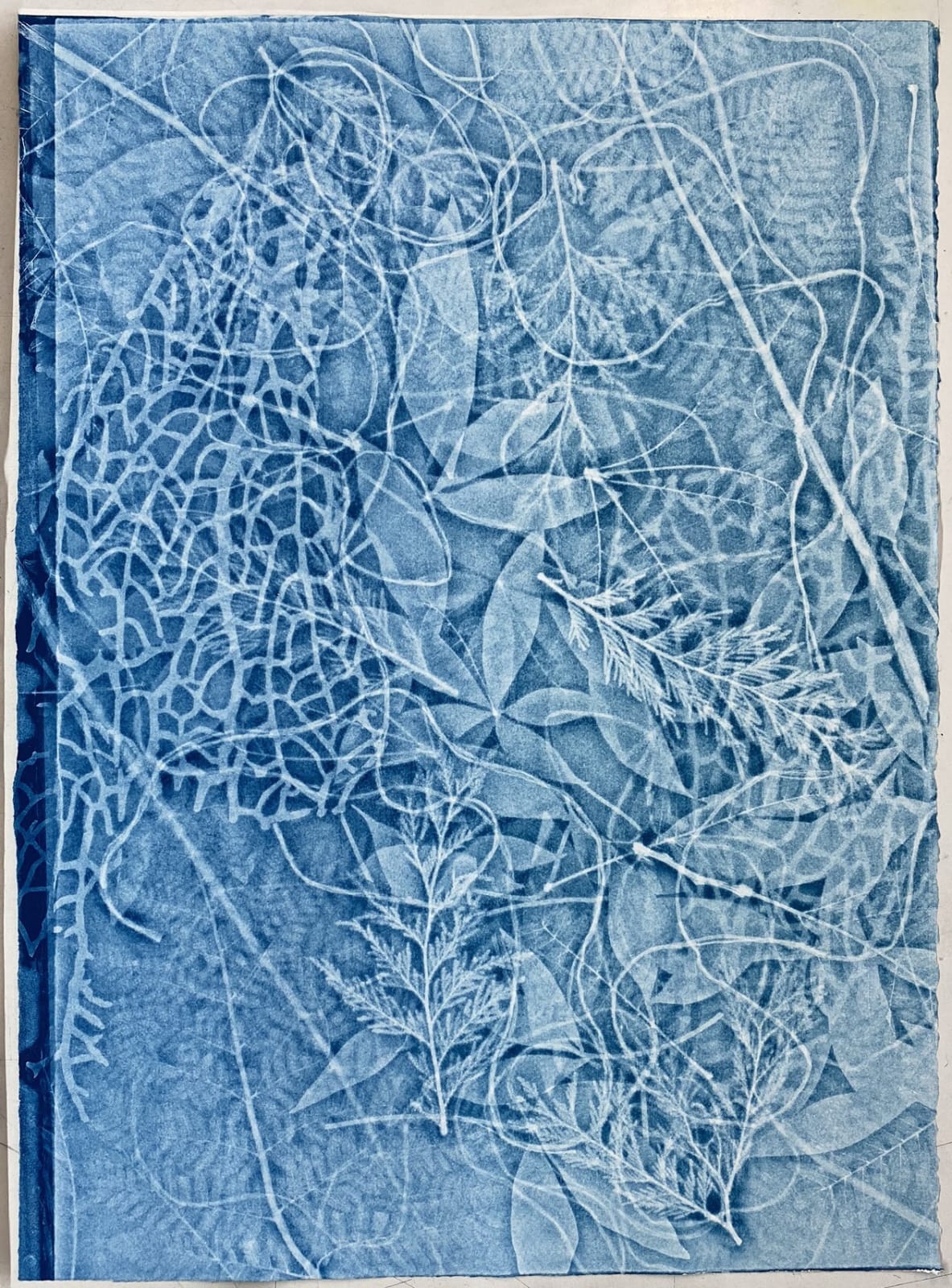 Lisa Schonberg, Lost in the Woods #6, 2020
