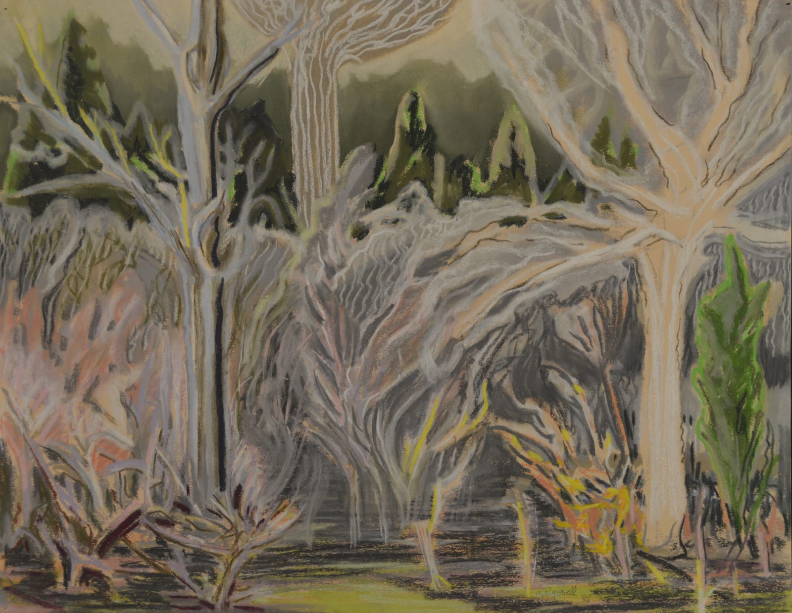 Brinsley Tyrrell, No. 1 BT 41-Untitled (Grey Trees), 2017