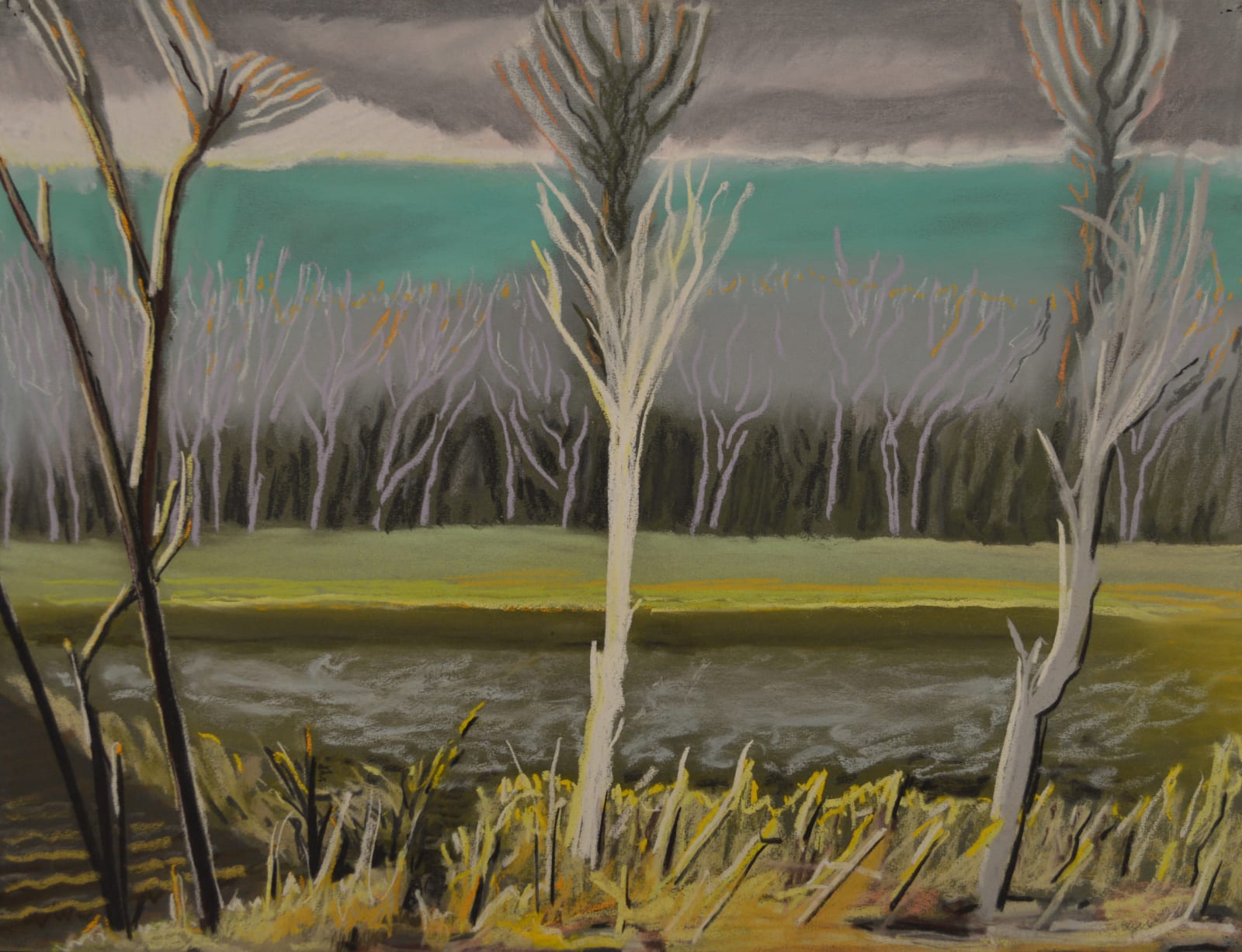 Brinsley Tyrrell, No. 5 BT 44-Untitled (White Trees), 2017