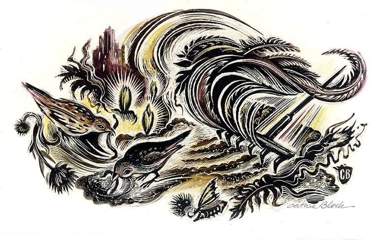 Cathie Bleck, Urban Garden