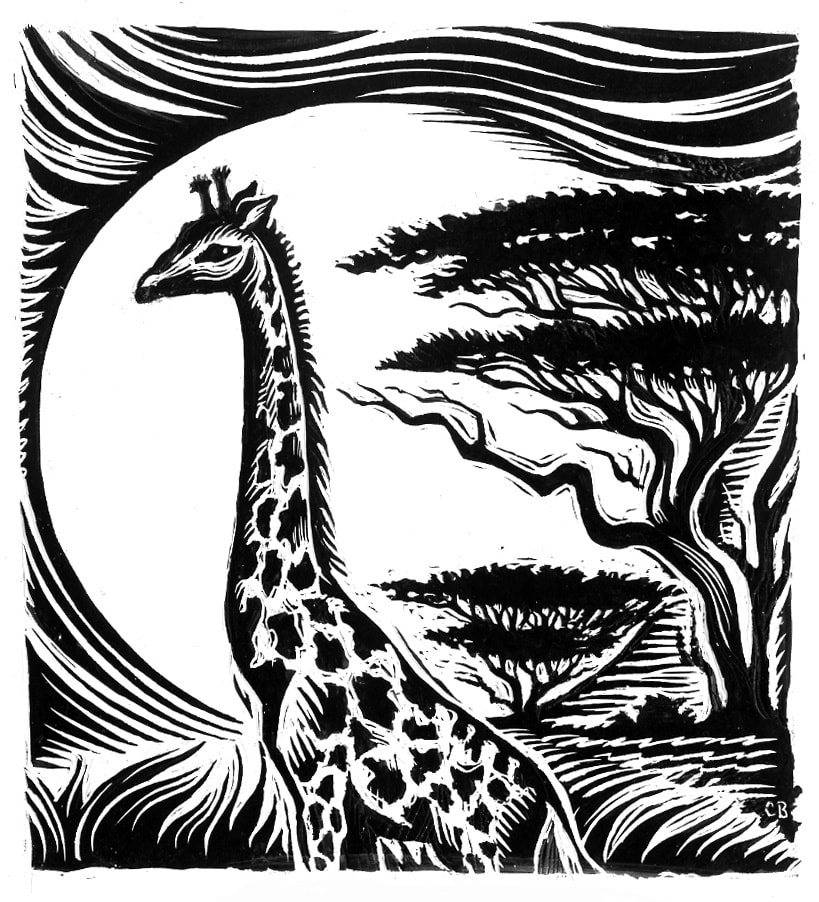 Cathie Bleck, Giraffe