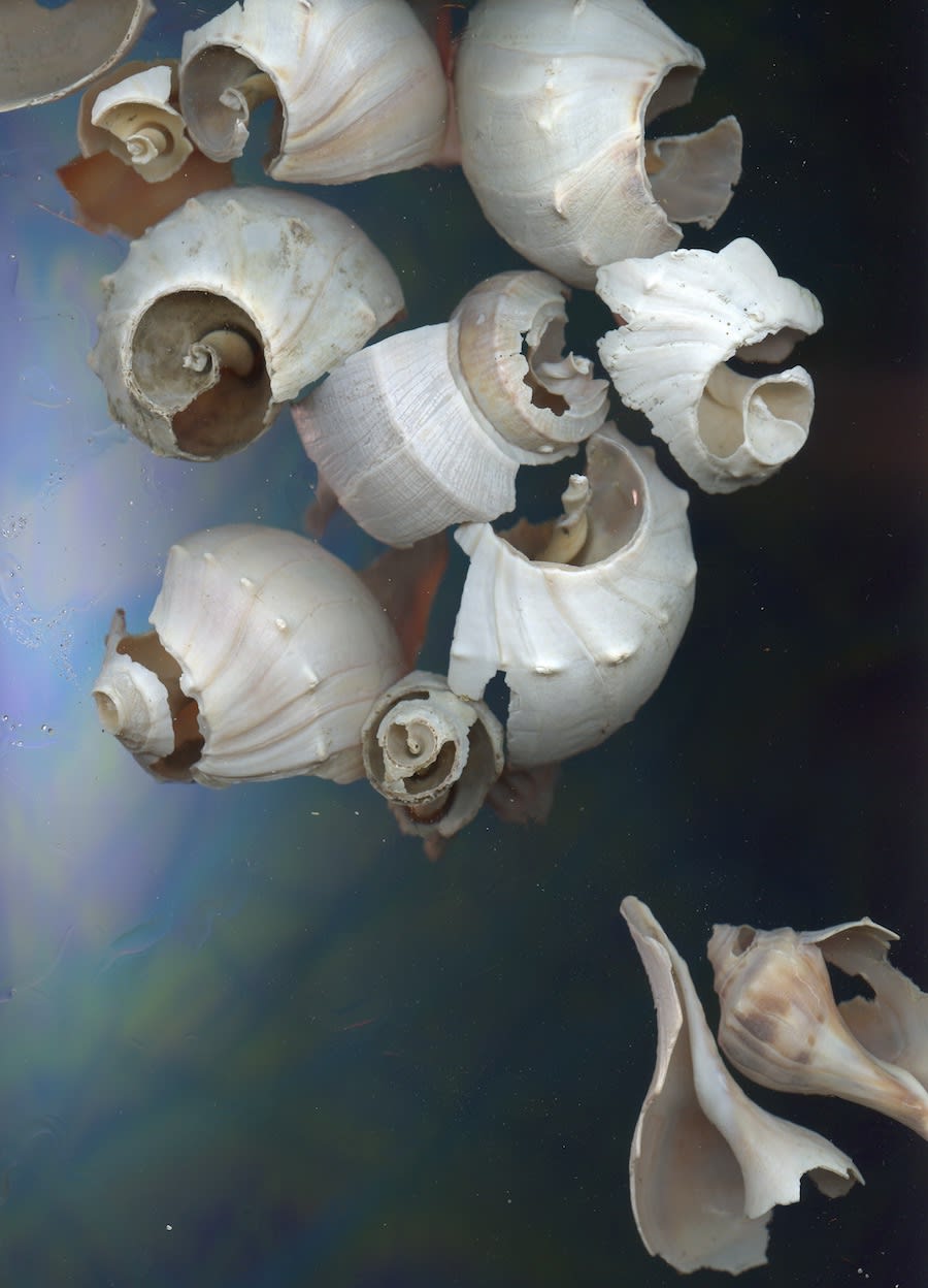 Ron Barron, Untitled #2 (Adrift Series), 2019