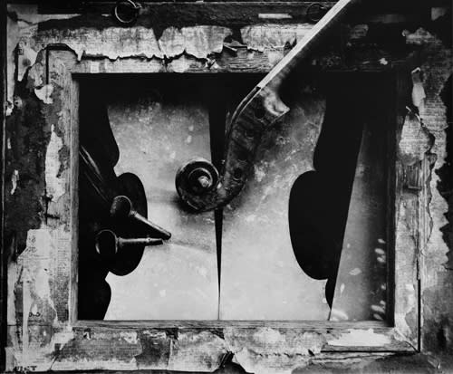 Linda Butler, Political Tranquility, CA, 2001