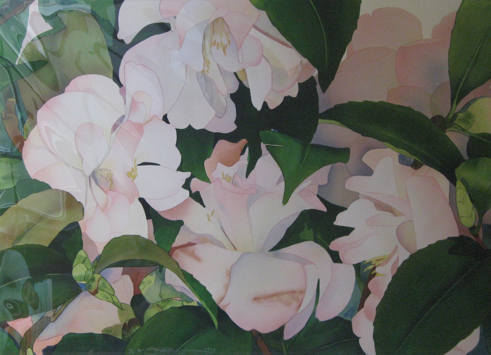 Gary Bukovnik, From Strybing Arboretum, 1996