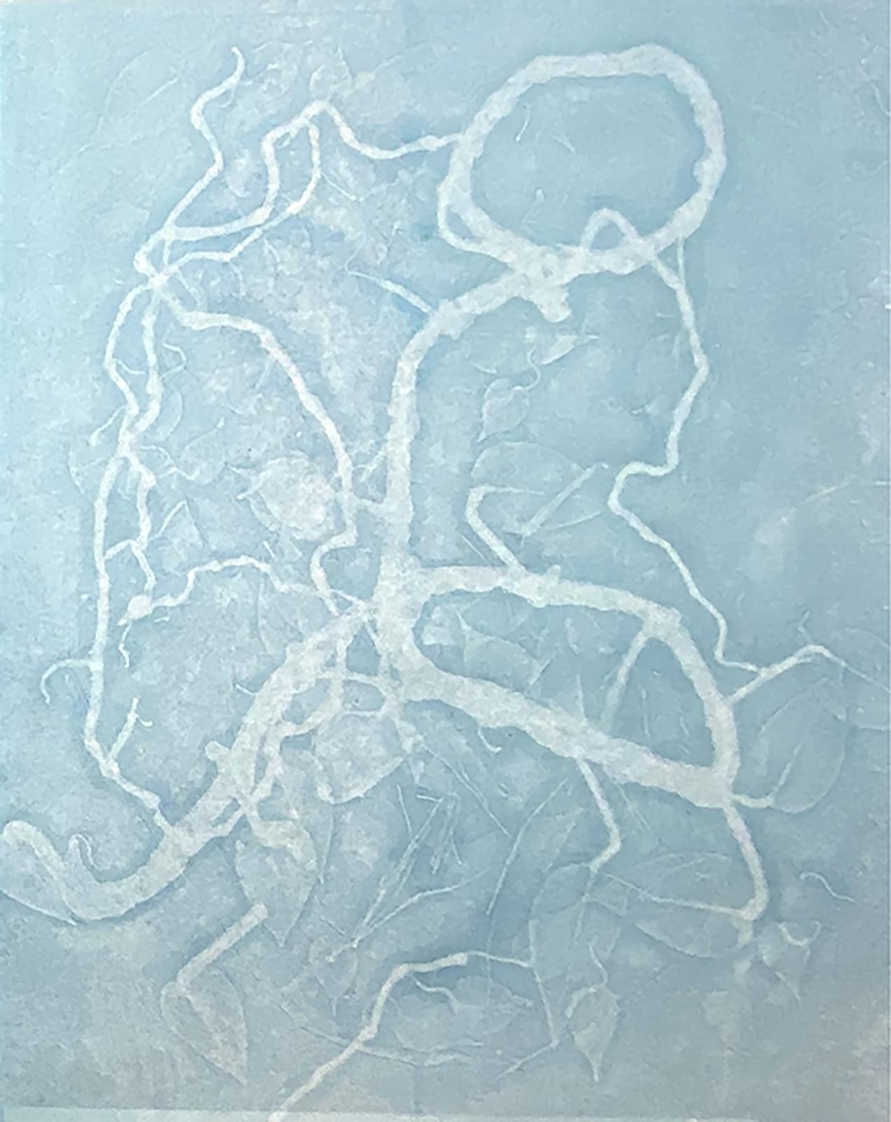 Lisa Schonberg, Pothos Interplay #3, 2023