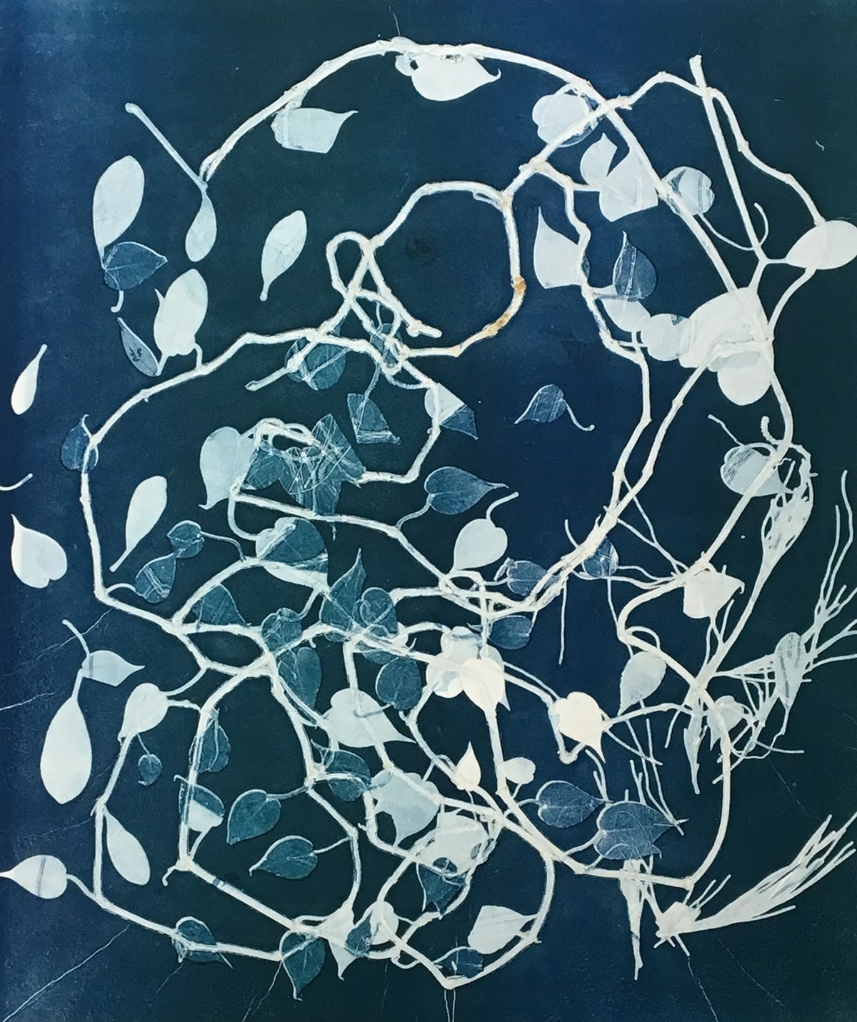 Lisa Schonberg, Pothos Adoration #1, 2019