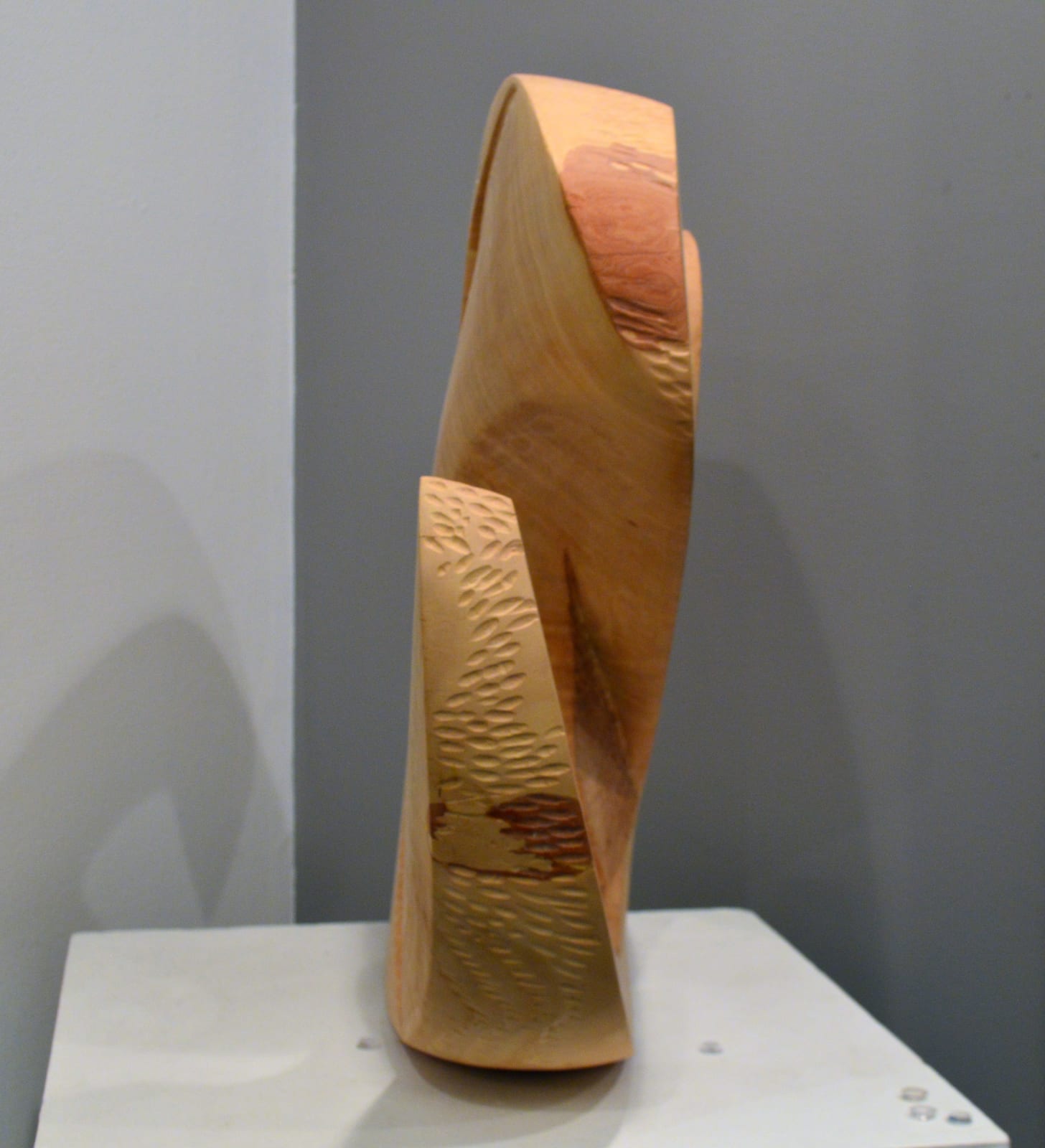 Barbara Stanczak, Arrested Motion, 2017