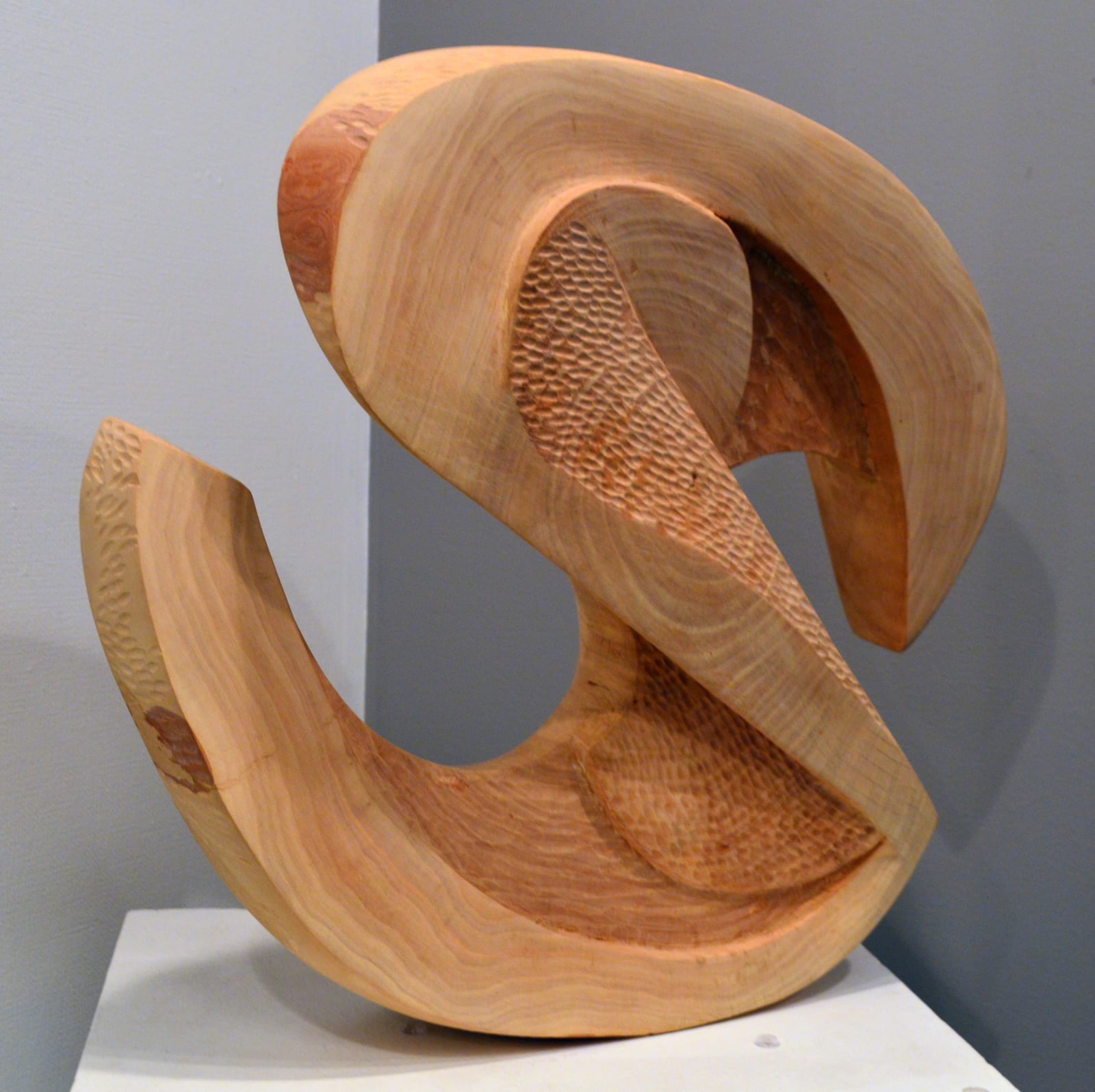 Barbara Stanczak, Arrested Motion, 2017