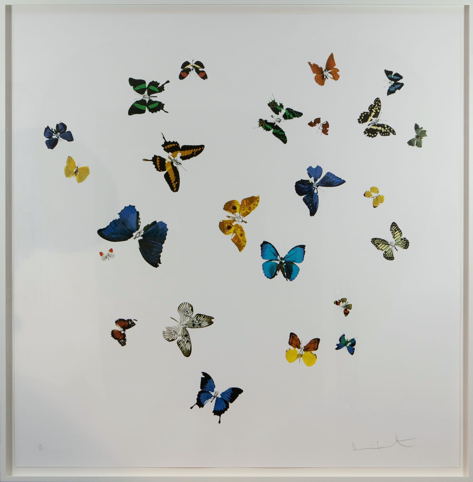 Damien Hirst, Love Is All You Need
