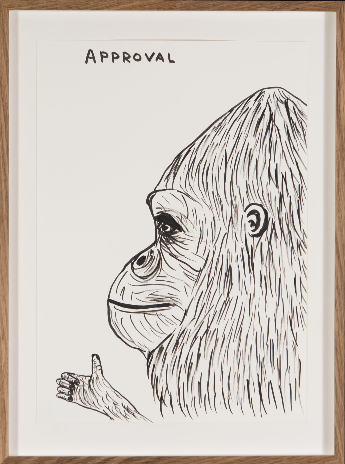 David Shrigley, Approval