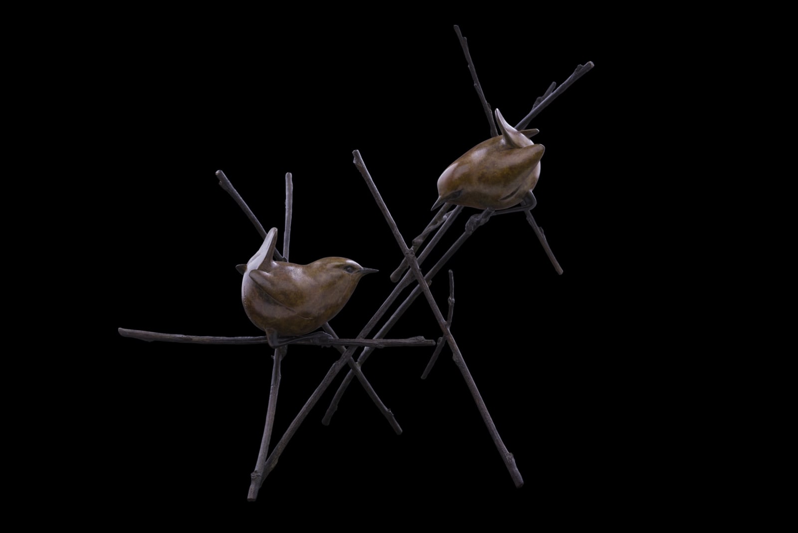 Adam Binder, Two Wrens