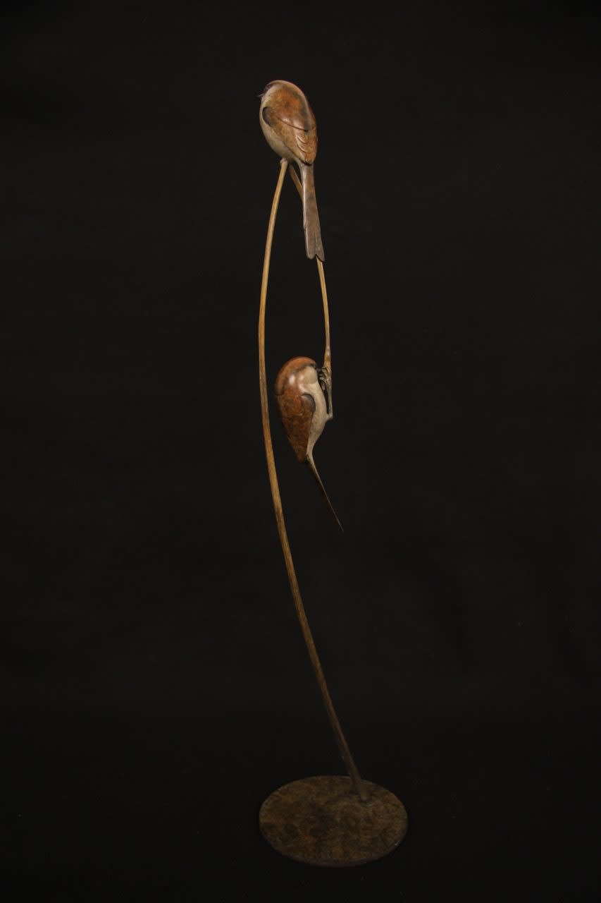Adam Binder, Two Long Tailed Tits