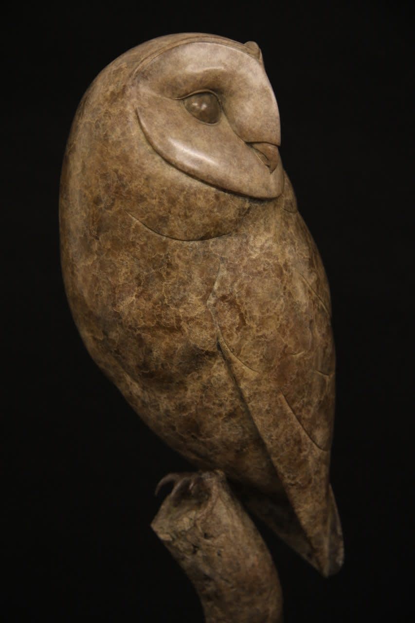 Adam Binder, Barn Owl