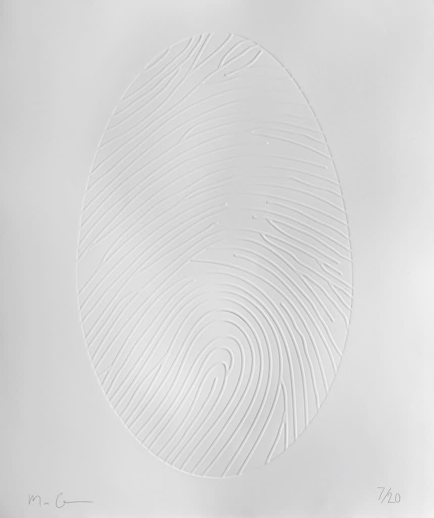 Marc Quinn, Labyrinth Emboss