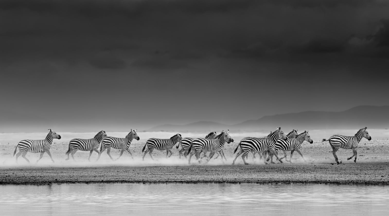 James Lewin, Desert Race. Amboseli, Kenya