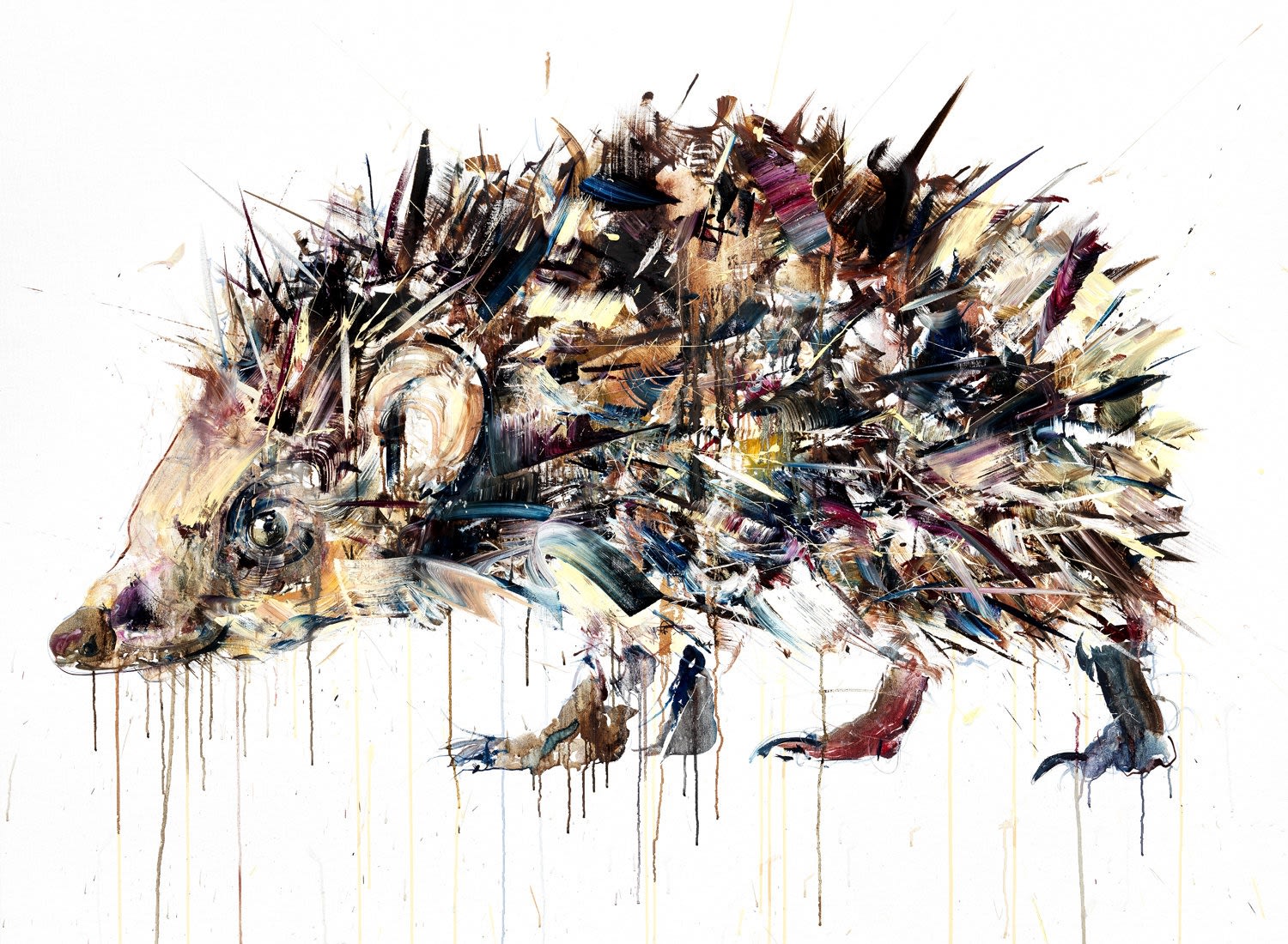 Dave White, Hedgehog