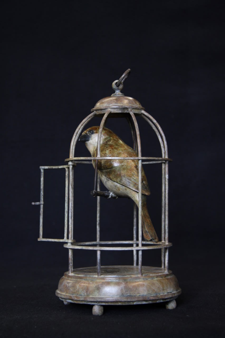 Adam Binder, Release - Sparrow