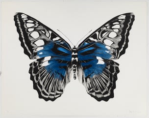 Rose Corcoran, Butterfly Blue