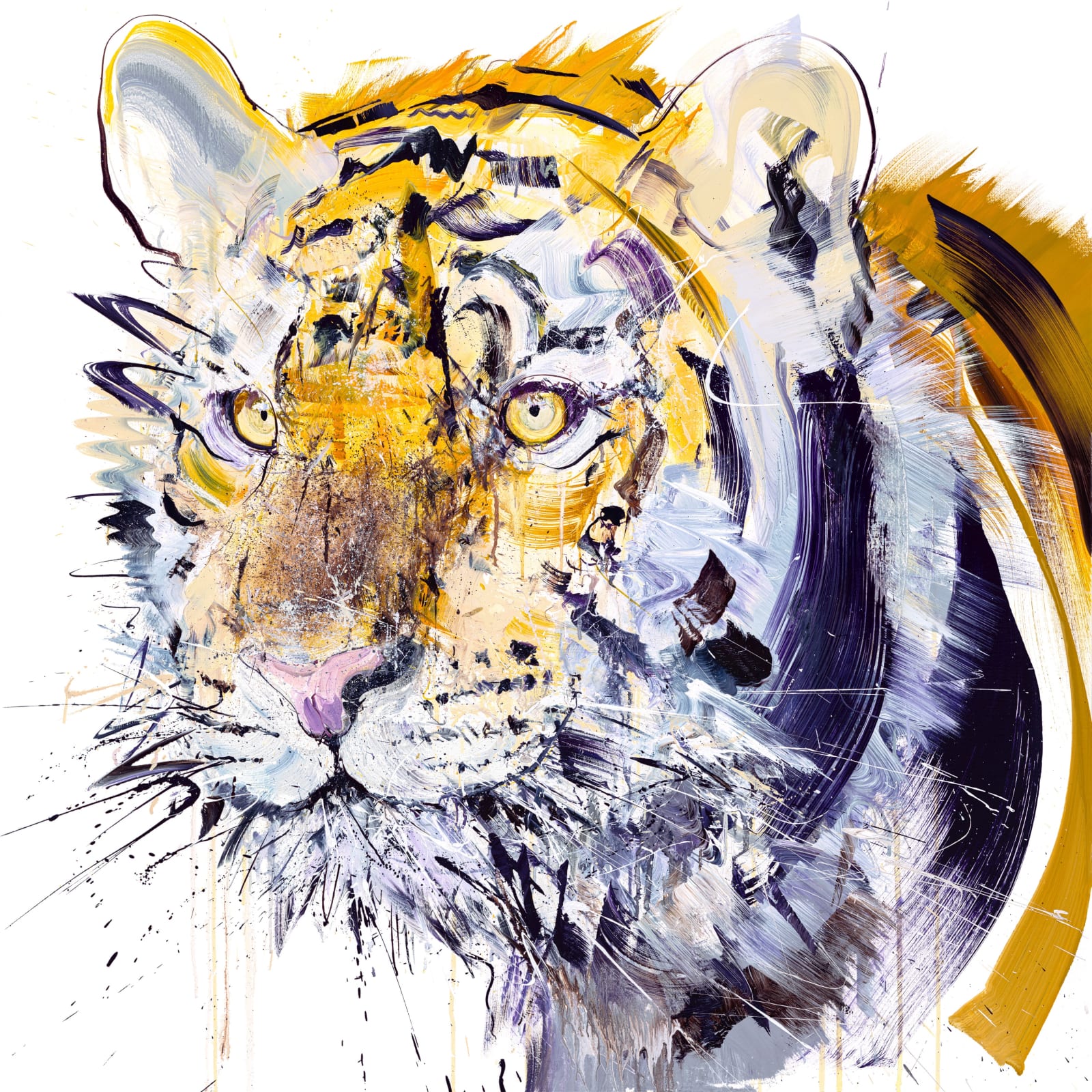 Dave White, Tiger