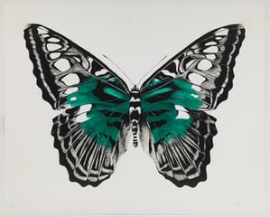 Rose Corcoran, Butterfly Green