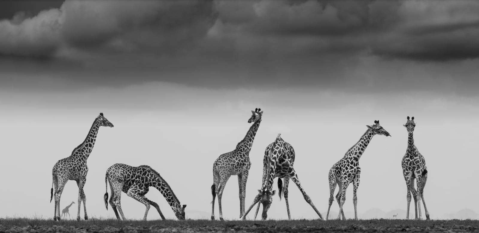 James Lewin, The Halfway House. Amboseli, Kenya