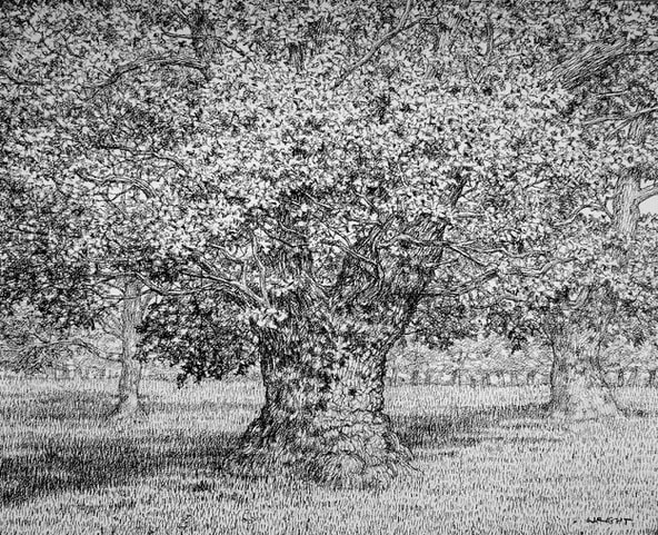 Roy Wright, Shadows Move Across The Summer Oaks